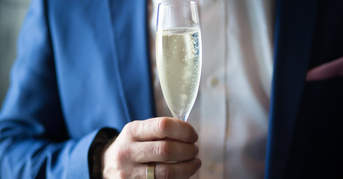 découvrez l'univers effervescent du champagne, des cépages raffinés aux méthodes de vinification traditionnelles. explorez nos sélections de champagnes prestigieux pour toutes les occasions.